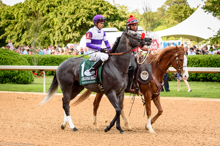 20170415_Arkansas_Derby_Harvel-253