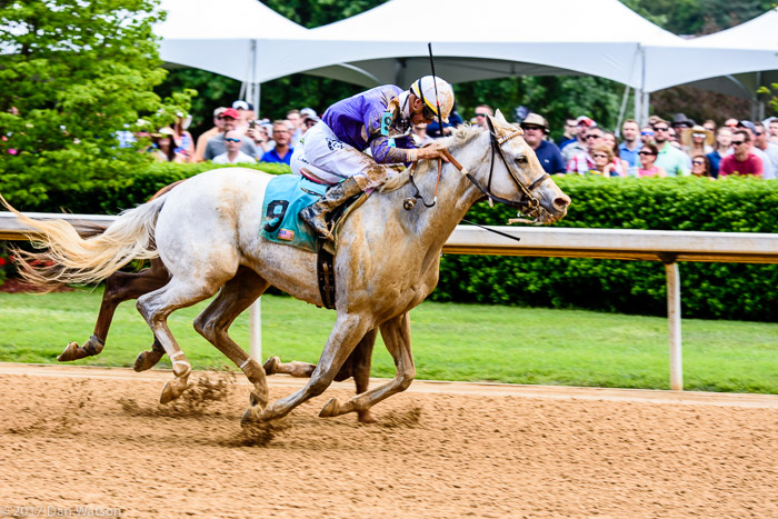 20170415_Arkansas_Derby_Harvel-61