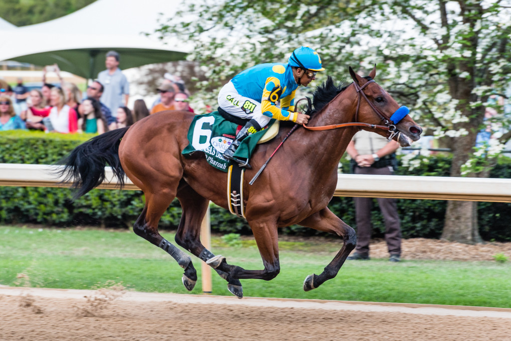 American Pharoah wins the Arkansas Derby!